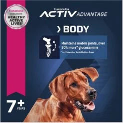 Eukanuba Senior Large Breed Dry Dog Food -Blue Buffalo || ROYAL CANIN || Wellness Sales 552374 PT4. AC SS1800 V1677085182