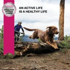 Eukanuba Senior Large Breed Dry Dog Food -Blue Buffalo || ROYAL CANIN || Wellness Sales 552374 PT7. AC SS1800 V1677085790