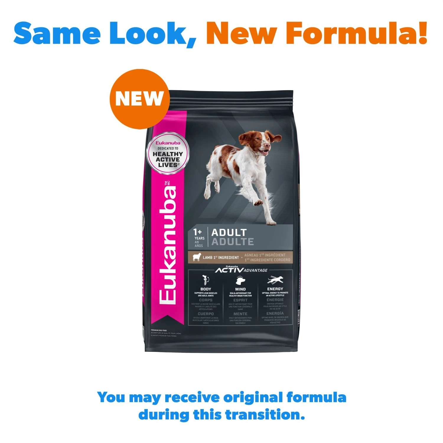 Eukanuba Adult Lamb 1st Ingredient Dry Dog Food 4 Eukanuba Adult Lamb 1st Ingredient Dry Dog Food - Image 2