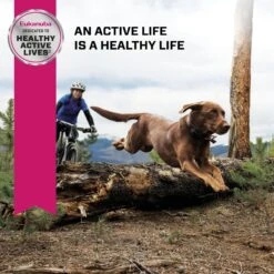 Eukanuba Adult Large Breed Dry Dog Food 18 Eukanuba Adult Large Breed Dry Dog Food -Blue Buffalo || ROYAL CANIN || Wellness Sales 552422 PT7. AC SS1800 V1677085788