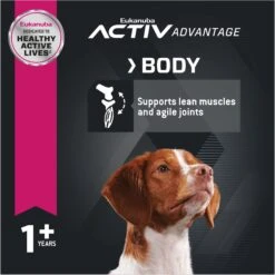 Eukanuba Adult Medium Breed Dry Dog Food 14 Eukanuba Adult Medium Breed Dry Dog Food -Blue Buffalo || ROYAL CANIN || Wellness Sales 552470 PT4. AC SS1800 V1677085126