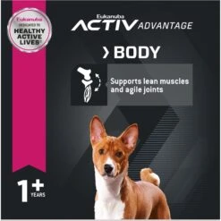 Eukanuba Adult Small Bites Dry Dog Food -Blue Buffalo || ROYAL CANIN || Wellness Sales 552478 PT4. AC SS1800 V1677085180