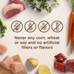 Rachael Ray Nutrish Natural Savory Lamb Stew Natural Wet Dog Food 13 Rachael Ray Nutrish Natural Savory Lamb Stew Natural Wet Dog Food -Blue Buffalo || ROYAL CANIN || Wellness Sales 55411 PT4. AC SS1800 V1540231421