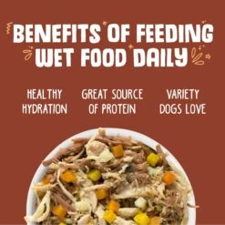 Weruva Wok The Dog With Chicken, Beef & Pumpkin In Gravy Grain-Free Canned Dog Food -Blue Buffalo || ROYAL CANIN || Wellness Sales 55592 PT4. AC SS1800 V1641838285