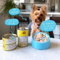 Weruva Marbella Paella With Mackerel & Pumpkin In Aspic Grain-Free Canned Dog Food -Blue Buffalo || ROYAL CANIN || Wellness Sales 55598 PT8. AC SS1800 V1641841306