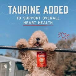 Stella & Chewy's Stella’s Shredrs Cage Free Chicken & Salmon Recipe In Broth Adult Wet Dog Food, 2.8-oz Pouch, Case Of 24 -Blue Buffalo || ROYAL CANIN || Wellness Sales 565198 PT7. AC SS1800 V1657659688