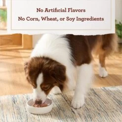 True Acre Foods Chicken & Liver Recipe Tender Loaf In Gravy, Wet Dog Food Cups -Blue Buffalo || ROYAL CANIN || Wellness Sales 569334 PT5. AC SS1800 V1670335786