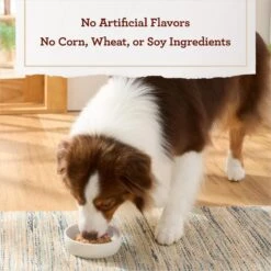 True Acre Foods Grilled Chicken Flavor Tender Loaf In Gravy, Wet Dog Food Cups 16 True Acre Foods Grilled Chicken Flavor Tender Loaf In Gravy, Wet Dog Food Cups -Blue Buffalo || ROYAL CANIN || Wellness Sales 569350 PT5. AC SS1800 V1670335757