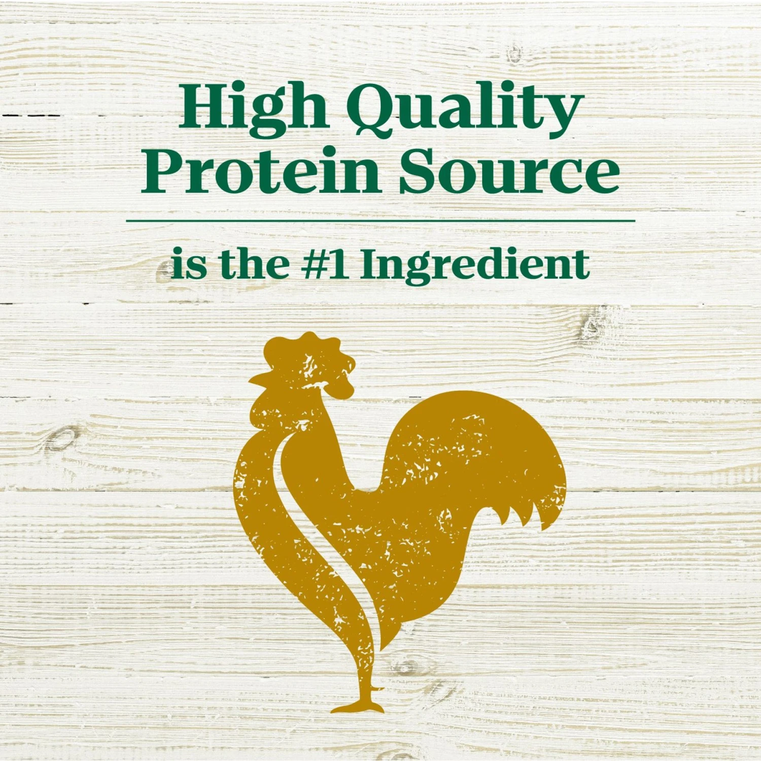 Nutro Max Senior Farm-Raised Chicken Recipe Natural Dry Dog Food, 25-lb Bag 10 Nutro Max Senior Farm-Raised Chicken Recipe Natural Dry Dog Food, 25-lb Bag - Image 8