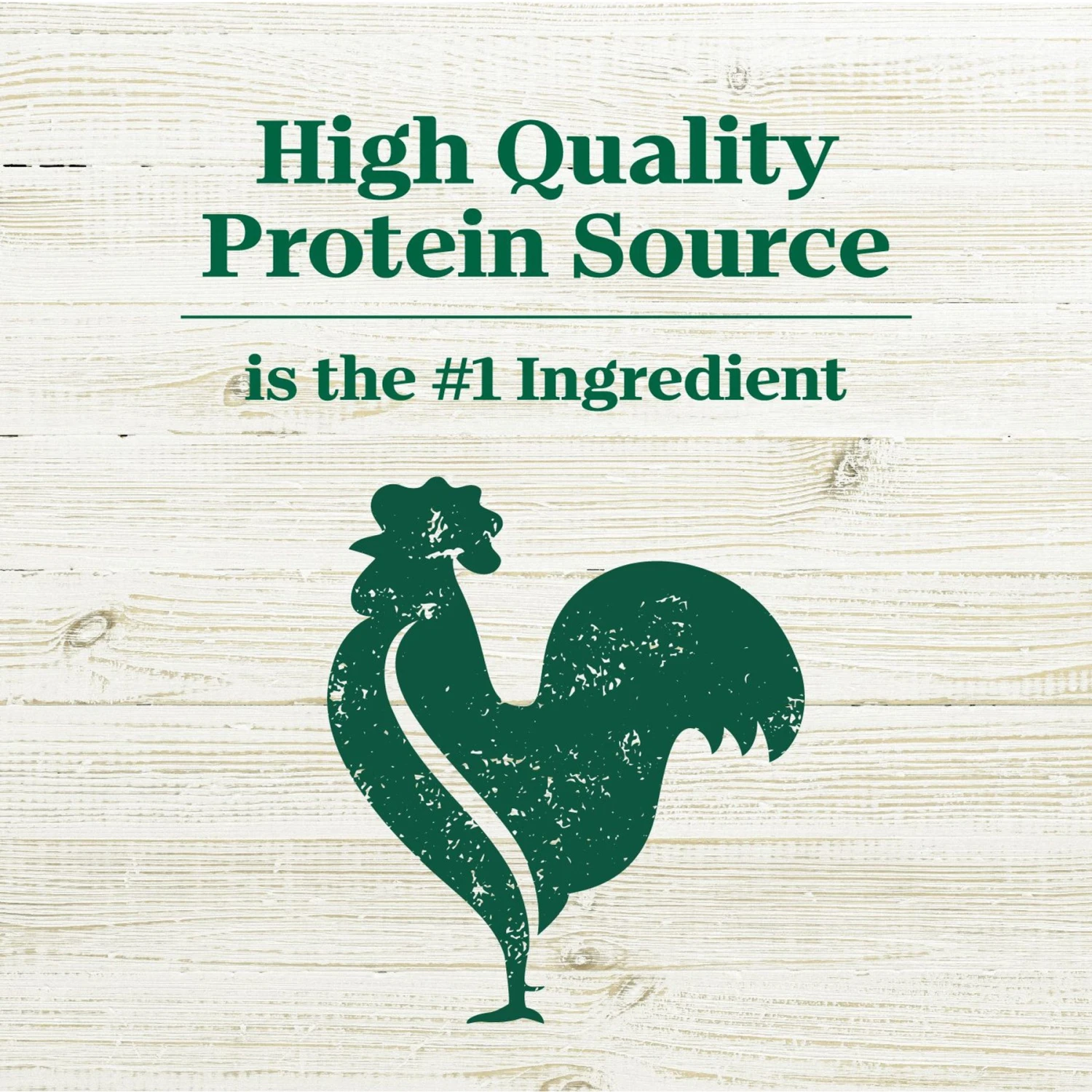 Nutro Max Adult Farm-Raised Lamb Recipe Natural Dry Dog Food, 25-lb Bag 6 Nutro Max Adult Farm-Raised Lamb Recipe Natural Dry Dog Food, 25-lb Bag - Image 4