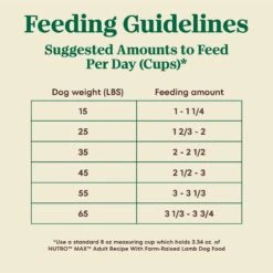 Nutro Max Adult Farm-Raised Lamb Recipe Natural Dry Dog Food, 25-lb Bag 16 Nutro Max Adult Farm-Raised Lamb Recipe Natural Dry Dog Food, 25-lb Bag -Blue Buffalo || ROYAL CANIN || Wellness Sales 569526 PT5. AC SS1800 V1702666955