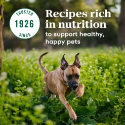 Nutro Max Large Breed Puppy Farm-Raised Chicken Recipe Natural Dry Dog Food, 25-lb Bag 17 Nutro Max Large Breed Puppy Farm-Raised Chicken Recipe Natural Dry Dog Food, 25-lb Bag -Blue Buffalo || ROYAL CANIN || Wellness Sales 569590 PT6. AC SS1800 V1702666591