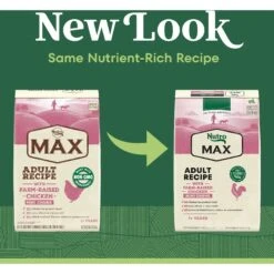 Nutro Max Mini Chunks Adult Farm-Raised Chicken Recipe Natural Dry Dog Food 12 Nutro Max Mini Chunks Adult Farm-Raised Chicken Recipe Natural Dry Dog Food -Blue Buffalo || ROYAL CANIN || Wellness Sales 569630 PT1. AC SS1800 V1658188941