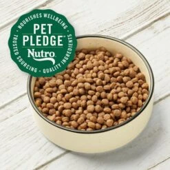 Nutro Max Mini Chunks Adult Farm-Raised Chicken Recipe Natural Dry Dog Food 14 Nutro Max Mini Chunks Adult Farm-Raised Chicken Recipe Natural Dry Dog Food -Blue Buffalo || ROYAL CANIN || Wellness Sales 569630 PT3. AC SS1800 V1658188941