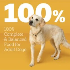 Pedigree With MarroBites Pieces Steak & Vegetable Flavor Adult Dry Dog Food -Blue Buffalo || ROYAL CANIN || Wellness Sales 573438 PT8. AC SS1800 V1658203726