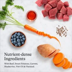 American Journey Beef Recipe Grain-Free Canned Dog Food & American Journey Beef & Sweet Potato Recipe Grain-Free Dry Dog Food 15 American Journey Beef Recipe Grain-Free Canned Dog Food & American Journey Beef & Sweet Potato Recipe Grain-Free Dry Dog Food -Blue Buffalo || ROYAL CANIN || Wellness Sales 574654 PT4. AC SS1800 V1694611052