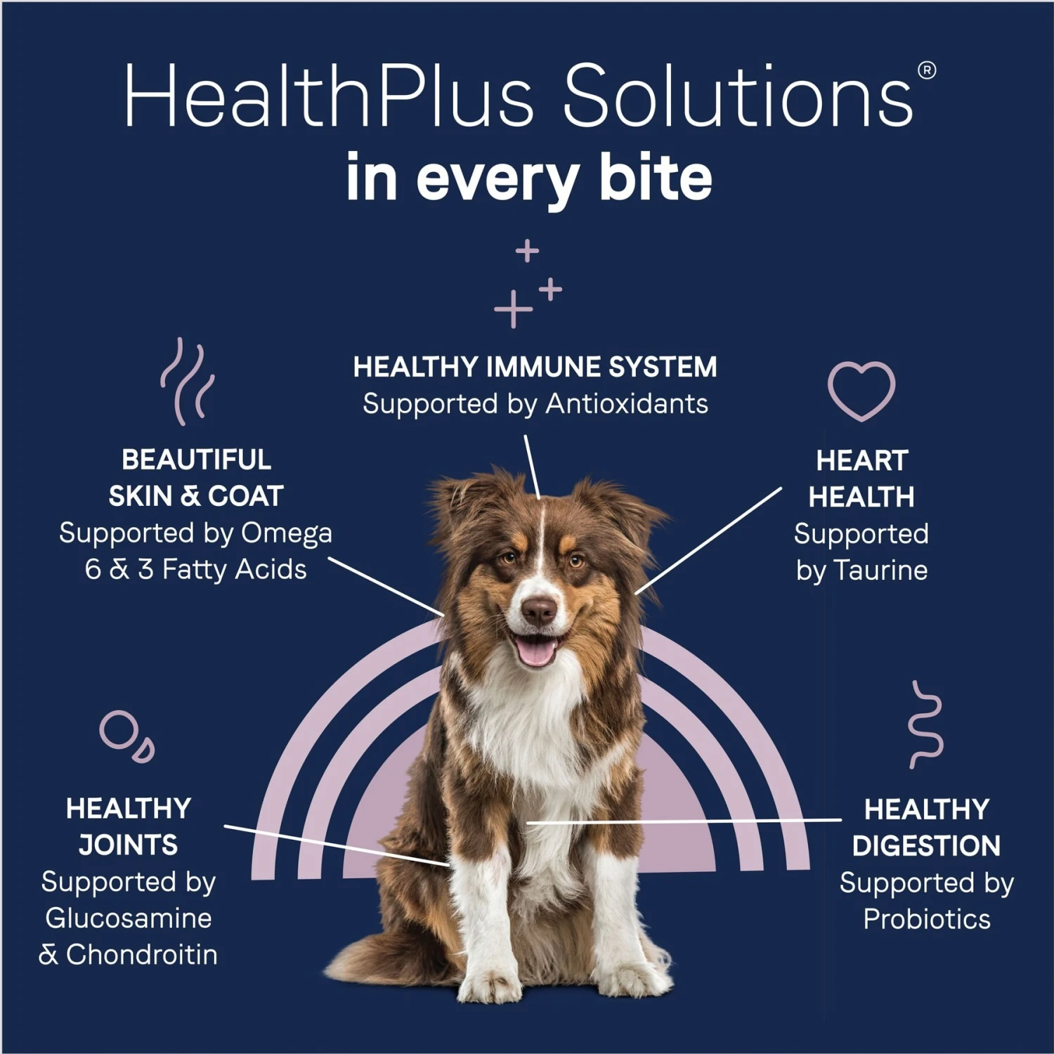 CANIDAE Pure Real Bison & Barley Recipe Dry Dog Food 9 CANIDAE Pure Real Bison & Barley Recipe Dry Dog Food - Image 7