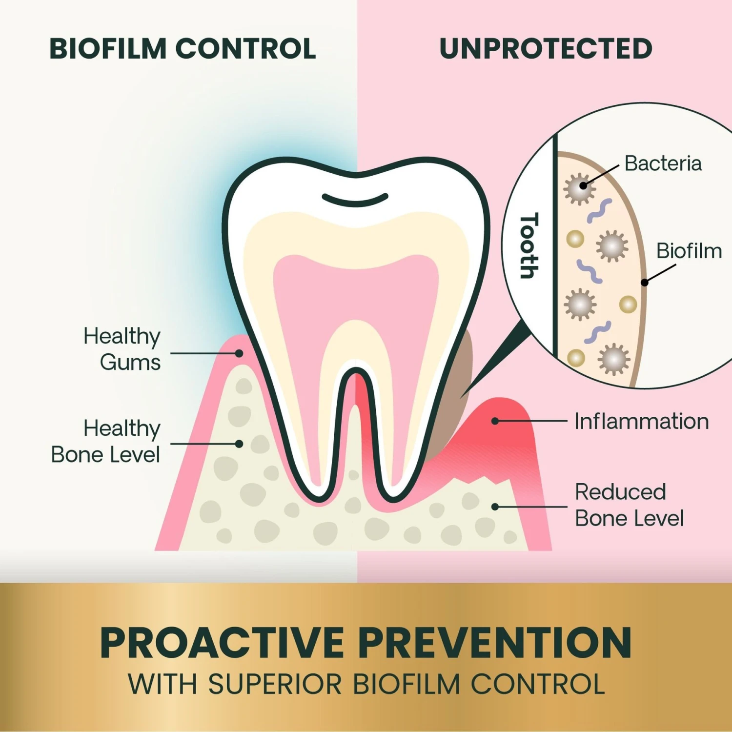 VetriScience Perio Support Powder Dental Supplement For Cats & Dogs 6 VetriScience Perio Support Powder Dental Supplement For Cats & Dogs - Image 4