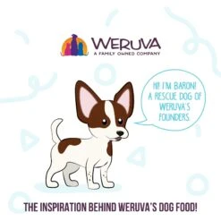 Weruva Meals 'n More Natural Wet Dog Food, Steak Frites Dinner Plus Skin & Coat Health, 3.5-oz Cup, 12 Count -Blue Buffalo || ROYAL CANIN || Wellness Sales 578382 PT7. AC SS1800 V1695760360