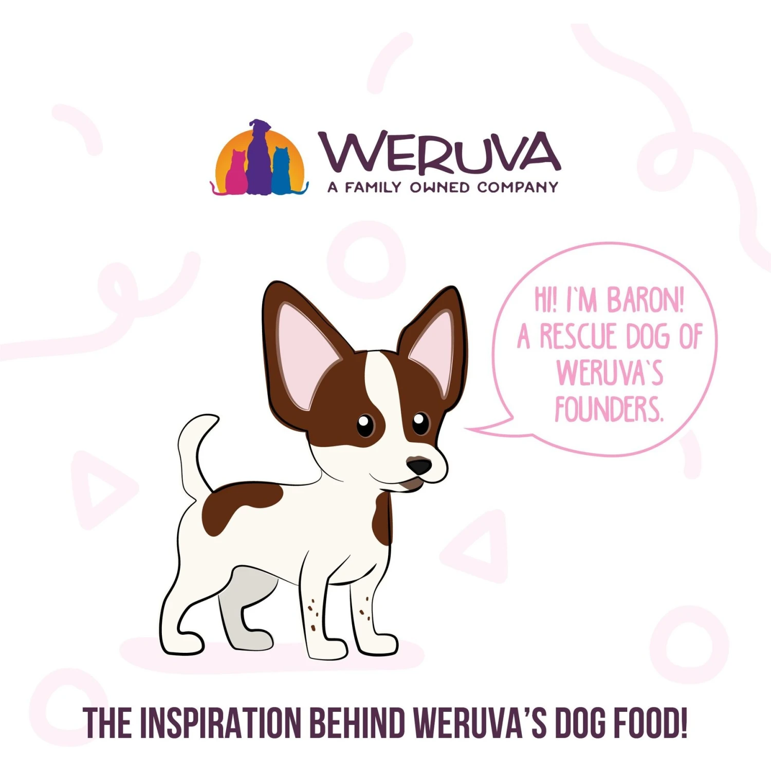 Weruva Meals 'n More Natural Wet Dog Food, Grandma's Chicken Soup Plus Digestive Support, 3.5-oz Cup, 12 Count 10 Weruva Meals 'n More Natural Wet Dog Food, Grandma's Chicken Soup Plus Digestive Support, 3.5-oz Cup, 12 Count - Image 8