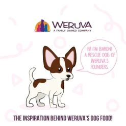 Weruva Meals 'n More Natural Wet Dog Food, Bed & Breakfast Plus Digestive Support, 3.5-oz Cup, 12 Count -Blue Buffalo || ROYAL CANIN || Wellness Sales 578430 PT7. AC SS1800 V1695756532