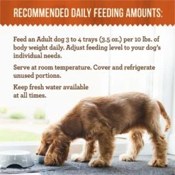 Merrick Lil’ Plates Dinner Duos Teeny Texas Steak Tips Dinner & Tiny Thanksgiving Day Dinner Variety Pack Grain-Free Wet Dog Food, 3.5-oz Tub, Case Of 12 -Blue Buffalo || ROYAL CANIN || Wellness Sales 578510 PT4. AC SS1800 V1659709705