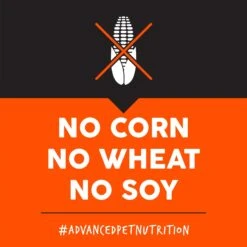 Ultimates Adult Large Breed Chicken Meal & Rice Flavored Dry Dog Food -Blue Buffalo || ROYAL CANIN || Wellness Sales 579182 PT5. AC SS1800 V1680811851