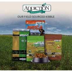 Addiction Grain-Free Le Lamb Dry Dog Food 17 Addiction Grain-Free Le Lamb Dry Dog Food -Blue Buffalo || ROYAL CANIN || Wellness Sales 60103 PT7. AC SS1800 V1605918411