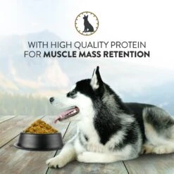 Addiction Steakhouse Beef & Zucchini Entree Raw Dehydrated Dog Food -Blue Buffalo || ROYAL CANIN || Wellness Sales 60118 PT4. AC SS1800 V1637723238
