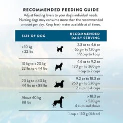 Addiction Steakhouse Beef & Zucchini Entree Raw Dehydrated Dog Food -Blue Buffalo || ROYAL CANIN || Wellness Sales 60118 PT8. AC SS1800 V1637716008
