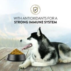 Addiction Homestyle Venison & Cranberry Dinner Raw Dehydrated Dog Food -Blue Buffalo || ROYAL CANIN || Wellness Sales 60127 PT4. AC SS1800 V1637723197