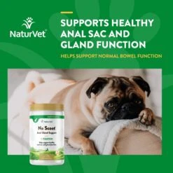 NaturVet No Scoot Plus Pumpkin Powder Digestive Supplement For Dogs -Blue Buffalo || ROYAL CANIN || Wellness Sales 60304 PT3. AC SS1800 V1698697703