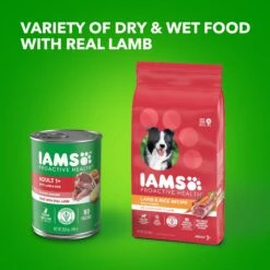 Iams ProActive Health Classic Ground With Lamb & Whole Grain Rice Adult Wet Dog Food -Blue Buffalo || ROYAL CANIN || Wellness Sales 604318 PT8. AC SS1800 V1658187319