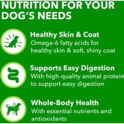 Iams ProActive Health Classic Ground With Chicken & Whole Grain Rice Adult Wet Dog Food -Blue Buffalo || ROYAL CANIN || Wellness Sales 604326 PT7. AC SS1800 V1658187318