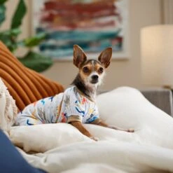 Frisco Dinosaur Dog & Cat Jersey PJs -Blue Buffalo || ROYAL CANIN || Wellness Sales 609062 PT6. AC SS1800 V1676643314