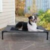 K&H Pet Products Original Pet Cot Elevated Dog Bed -Blue Buffalo || ROYAL CANIN || Wellness Sales 611958 MAIN. AC SS1800 V1696351195