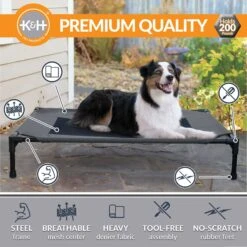 K&H Pet Products Original Pet Cot Elevated Dog Bed -Blue Buffalo || ROYAL CANIN || Wellness Sales 611958 PT2. AC SS1800 V1659484091