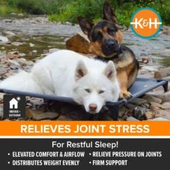 K&H Pet Products All Weather Elevated Dog Cot Bed, Gray 10 K&H Pet Products All Weather Elevated Dog Cot Bed, Gray -Blue Buffalo || ROYAL CANIN || Wellness Sales 613782 PT2. AC SS1800 V1660310453