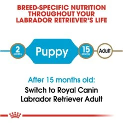 Royal Canin Breed Health Nutrition Labrador Retriever Puppy Dry Dog Food -Blue Buffalo || ROYAL CANIN || Wellness Sales 61486 PT7. AC SS1800 V1697212824