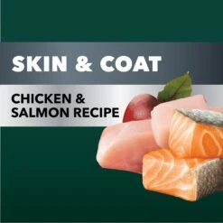 Iams Advanced Health Skin & Coat Chicken & Salmon Recipe Adult Dry Dog Food -Blue Buffalo || ROYAL CANIN || Wellness Sales 616934 PT2. AC SS1800 V1659822862