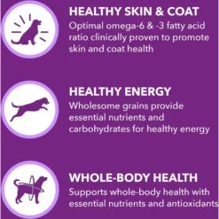 Iams Advanced Health Skin & Coat Chicken & Salmon Recipe Adult Dry Dog Food -Blue Buffalo || ROYAL CANIN || Wellness Sales 616934 PT3. AC SS1800 V1659822862