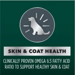 Iams Advanced Health Skin & Coat Chicken & Salmon Recipe Adult Dry Dog Food -Blue Buffalo || ROYAL CANIN || Wellness Sales 616934 PT4. AC SS1800 V1670426123