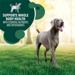 Iams Advanced Health Skin & Coat Chicken & Salmon Recipe Adult Dry Dog Food -Blue Buffalo || ROYAL CANIN || Wellness Sales 616934 PT8. AC SS1800 V1659822866