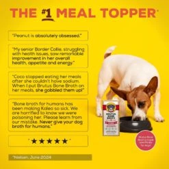 Brutus Broth Pork Flavored Grain-Free Bone Broth Dog Food Topping, 32-oz 12 Brutus Broth Pork Flavored Grain-Free Bone Broth Dog Food Topping, 32-oz -Blue Buffalo || ROYAL CANIN || Wellness Sales 616942 PT4. AC SS1800 V1659822861
