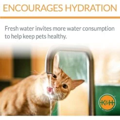 K&H Pet Products CleanFlow Filtered Water Dog Bowl, Small, 80-oz Bowl + 90-oz Reservoir -Blue Buffalo || ROYAL CANIN || Wellness Sales 61705 PT3. AC SS1800 V1637627797