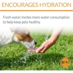 K&H Pet Products CleanFlow Filtered Water Dog Bowl 13 K&H Pet Products CleanFlow Filtered Water Dog Bowl -Blue Buffalo || ROYAL CANIN || Wellness Sales 61715 PT3. AC SS1800 V1637624815