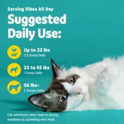 Vibeful Dental Health Chicken Flavored Powder Dental Supplement For Dogs & Cats -Blue Buffalo || ROYAL CANIN || Wellness Sales 617222 PT5. AC SS1800 V1674656201