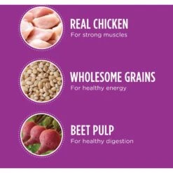 Iams Proactive Health Healthy Aging Large Breed Mature & Senior Formula With Real Chicken Dry Dog Food 13 Iams Proactive Health Healthy Aging Large Breed Mature & Senior Formula With Real Chicken Dry Dog Food -Blue Buffalo || ROYAL CANIN || Wellness Sales 61752 PT2. AC SS1800 V1668024168