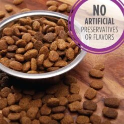 Iams Proactive Health Healthy Aging Large Breed Mature & Senior Formula With Real Chicken Dry Dog Food 14 Iams Proactive Health Healthy Aging Large Breed Mature & Senior Formula With Real Chicken Dry Dog Food -Blue Buffalo || ROYAL CANIN || Wellness Sales 61752 PT3. AC SS1800 V1668024638