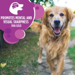 Iams Proactive Health Healthy Aging Large Breed Mature & Senior Formula With Real Chicken Dry Dog Food 15 Iams Proactive Health Healthy Aging Large Breed Mature & Senior Formula With Real Chicken Dry Dog Food -Blue Buffalo || ROYAL CANIN || Wellness Sales 61752 PT4. AC SS1800 V1668023589